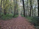 Bois d'Aiglepierre